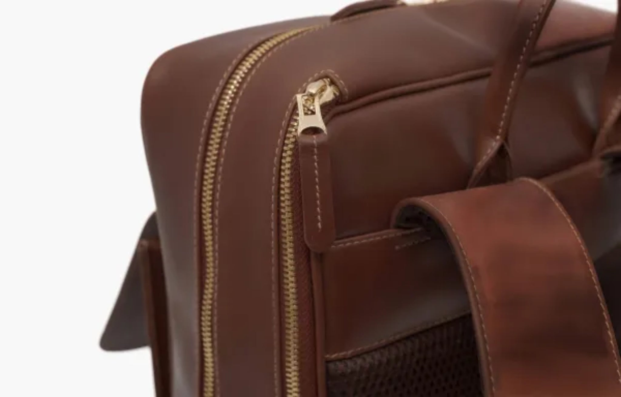 Peltskin Specter in Geneva Brown