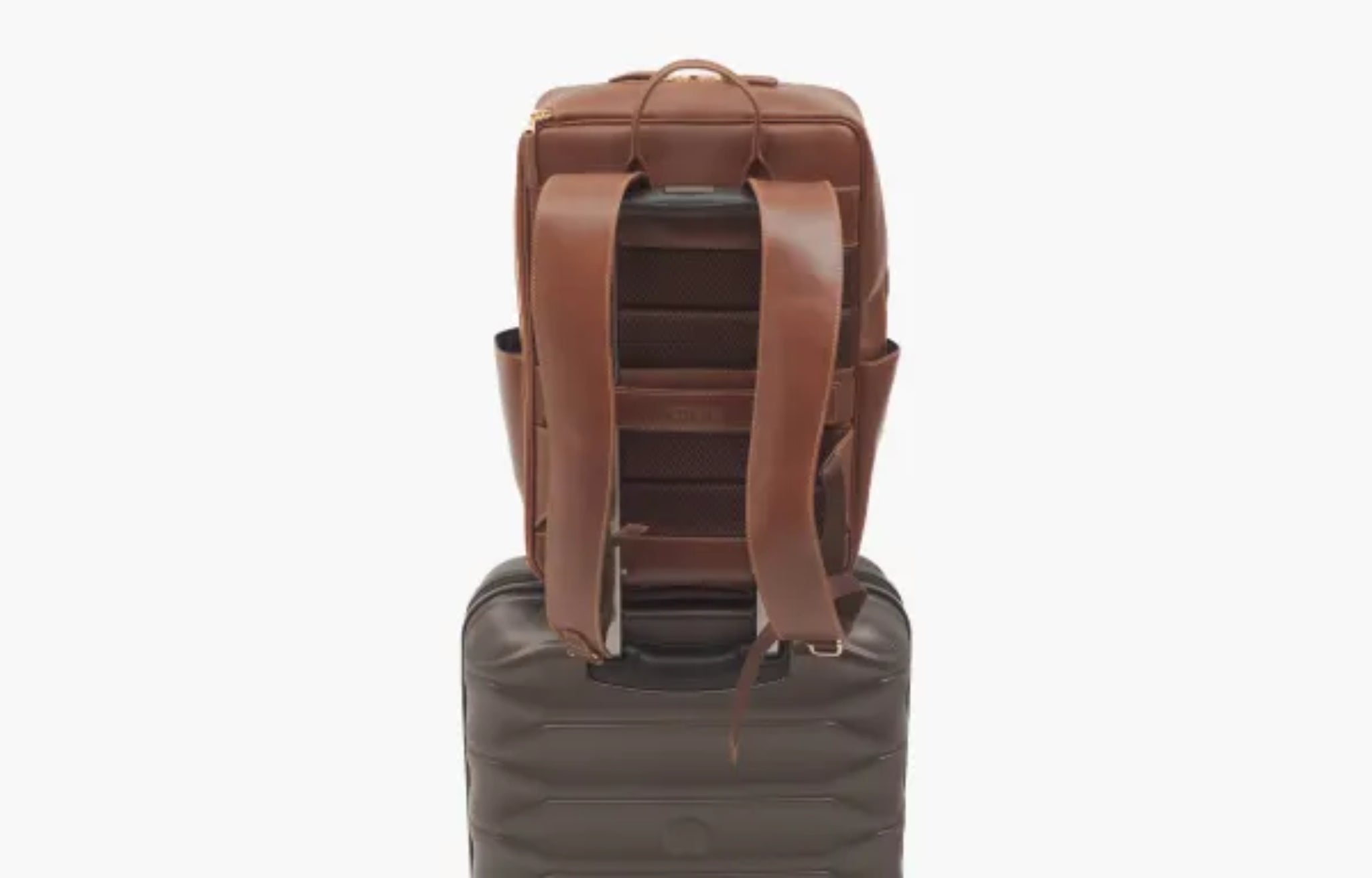 Peltskin Specter in Geneva Brown